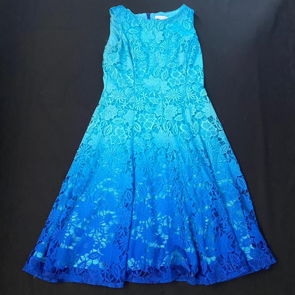 Ombré Floral Lace Dress
